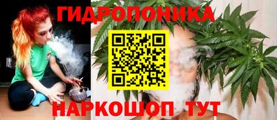 дживик Пенза