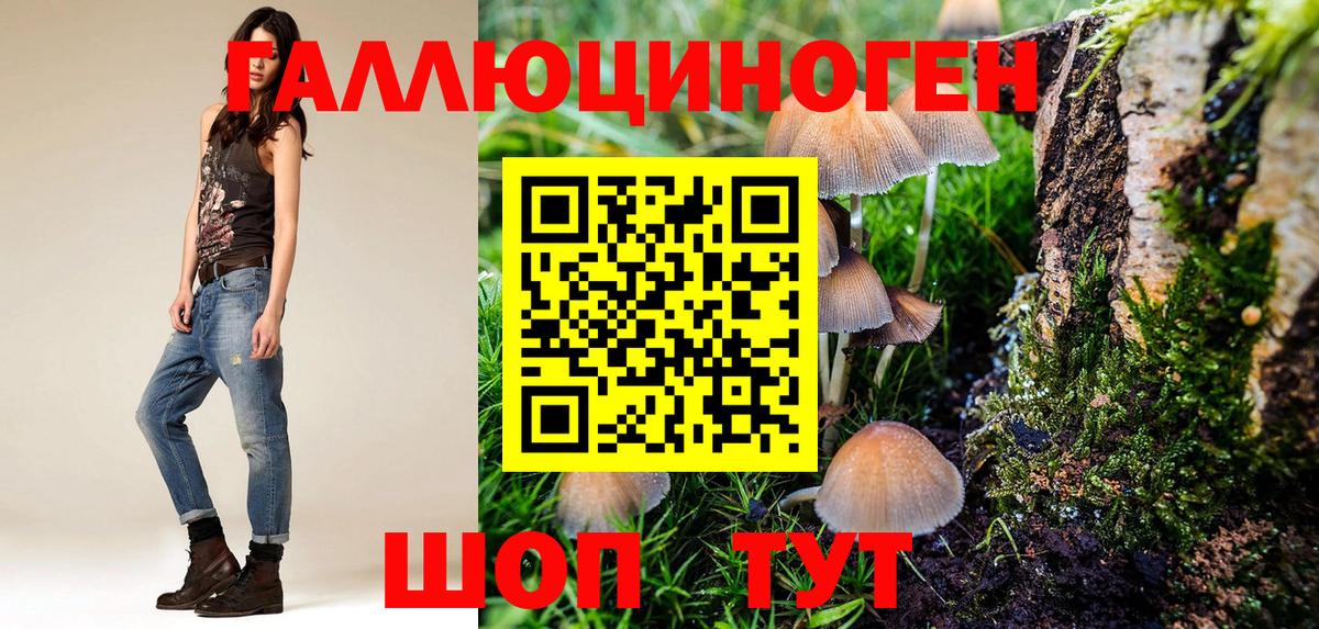 Псилоцибиновые грибы Magic Shrooms Стрежевой